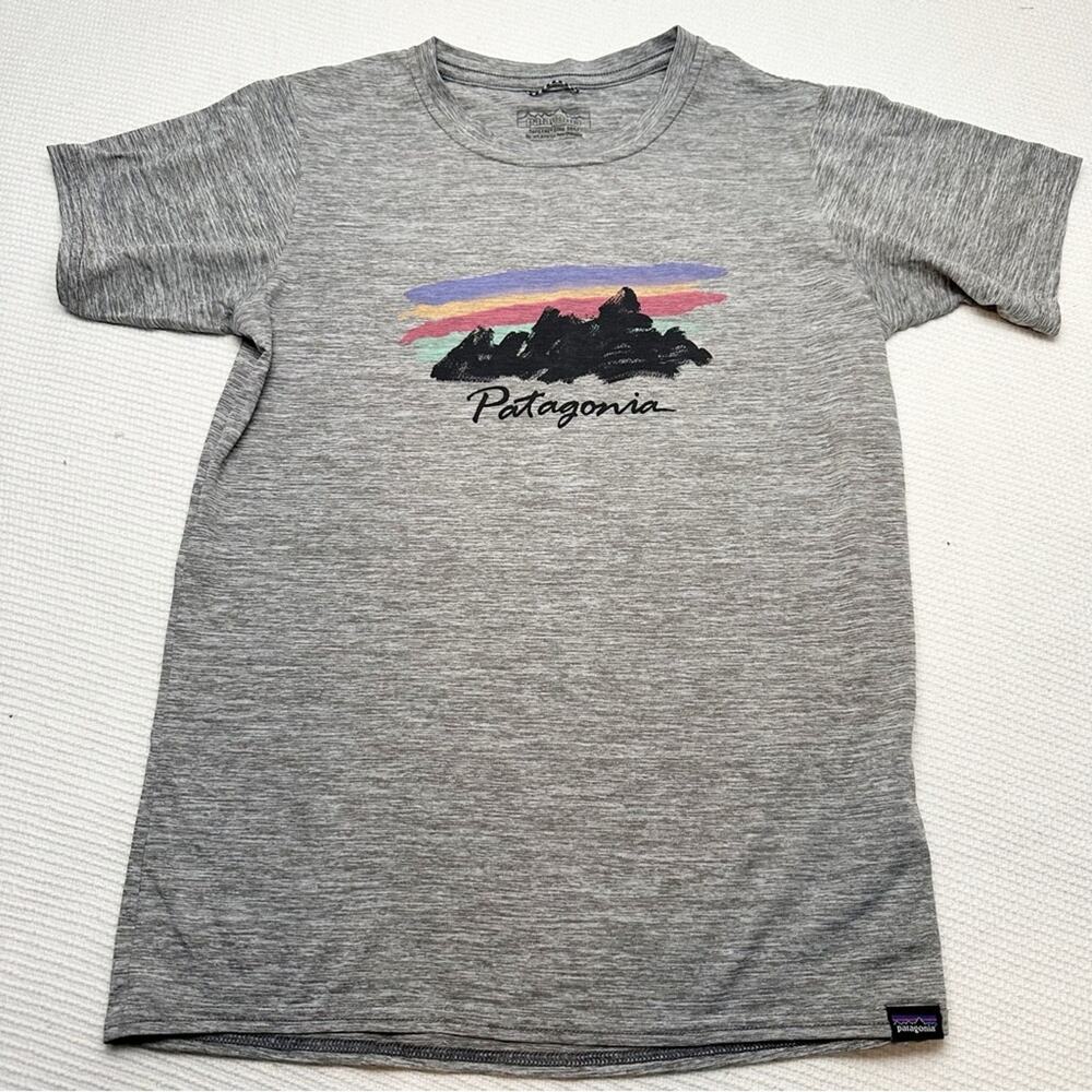 Patagonia Gray Short Sleeve Tee with Mountain Design